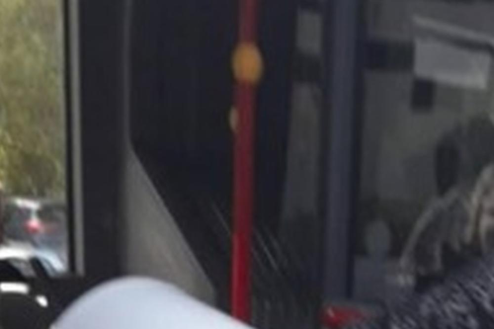 OVO IMA SAMO NA BALKANU: Žena sa kolicima za bebe ušla u bus, a svi su u čudu gledali šta je vozila unutra (FOTO)
