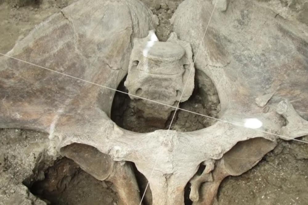 SKORO NEREALNO I naučnici ostali u potpunom šoku! Došli su do otkrića koje je staro 140 vekova (VIDEO)