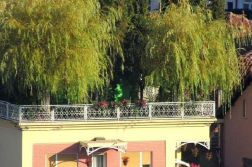 CELA SRBIJA PRIČA O KUĆI PEKARA DOBRICE: Zbog jedne stvari ljudi ne prestaju da bruje o njoj! (FOTO)