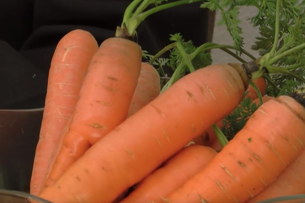 Srbi sve vreme pogrešno čuvaju celer i šargarepu: Samo ovako će vam biti sveži nedeljama - caka koju niko ne zna