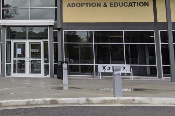 PORODICA OTIŠLA U AZIL DA USVOJI MACU: Tamo ih je sačekalo IZNENAĐENJE koje nisu mogli ni da zamisle (FOTO)