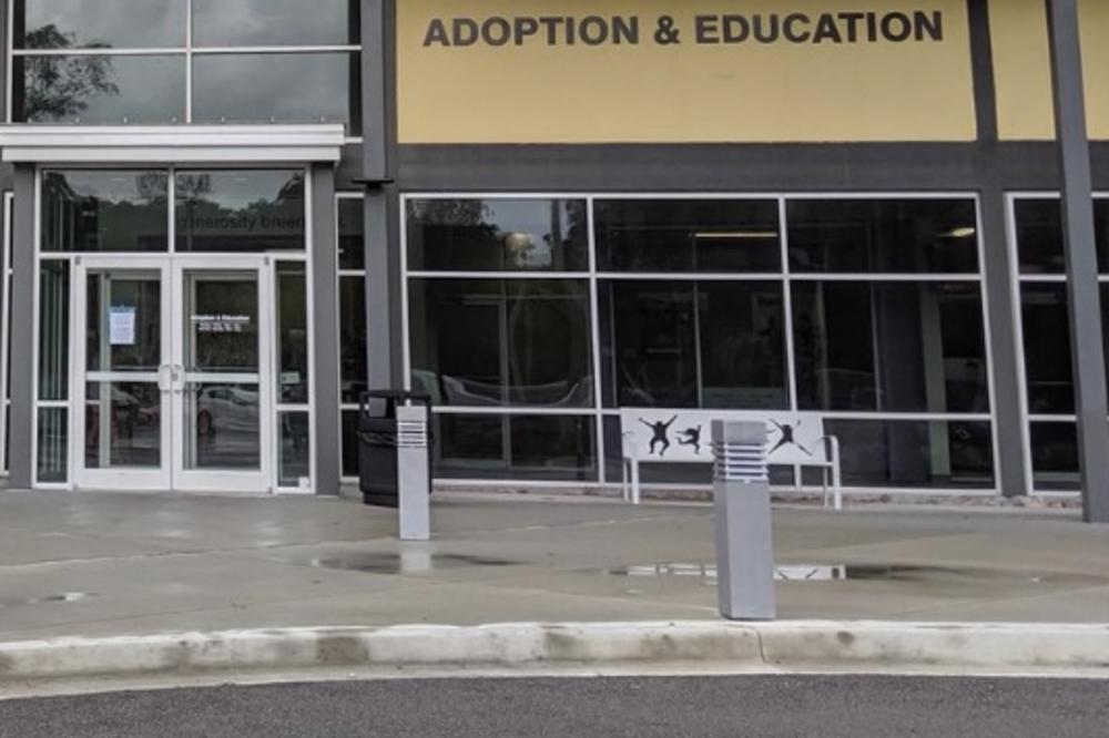 PORODICA OTIŠLA U AZIL DA USVOJI MACU: Tamo ih je sačekalo IZNENAĐENJE koje nisu mogli ni da zamisle (FOTO)