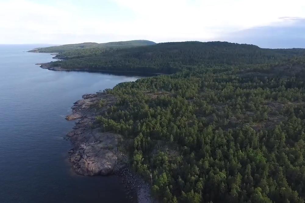 IZUMIRANJE LOSOSA U NORVEŠKOJ! Uginulo čak 96.000 zbog curenja HLORA u fjord gde se oni nalaze