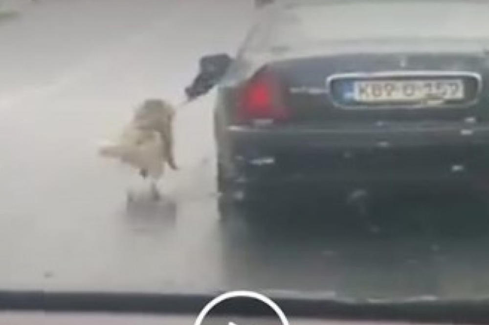 NEZAPAMĆEN UŽAS: Psa vezanog za automobil vukao po putu, pa pokušao da objasni zbog čega je to uradio
