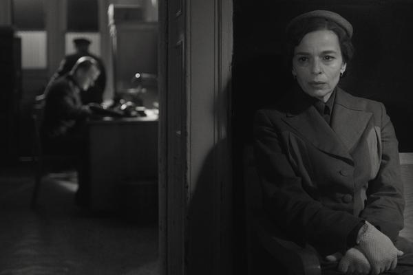 Bioskop dobrog filma: Reprize najboljih repertoarskih filmova iz 2019. u bioskopu Dvorana kulturnog centra Beograda