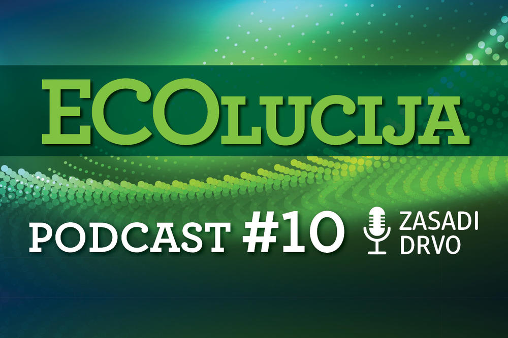 ZASADI DRVO-KRENI SADA