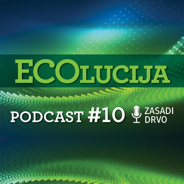 ZASADI DRVO-KRENI SADA