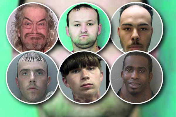 TOCILO JE NASMEJAO SRBIJU, ALI IMA OPASNU KONKURENCIJU: Ovo su URNEBESNE zločinačke FACE iz sveta (FOTO)