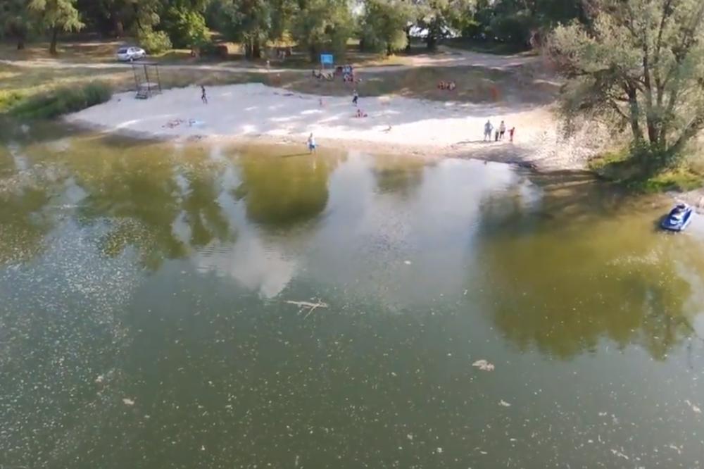 LEŠ ŽENE ISPLIVAO JE IZ REKE U APATINU! Svi se pitaju samo jedno