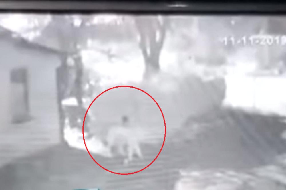 MIGRANT JE SILOVAO PSA U DVORIŠTU PORODIČNE KUĆE: Vlasnik u šoku nakon HORORA (VIDEO)