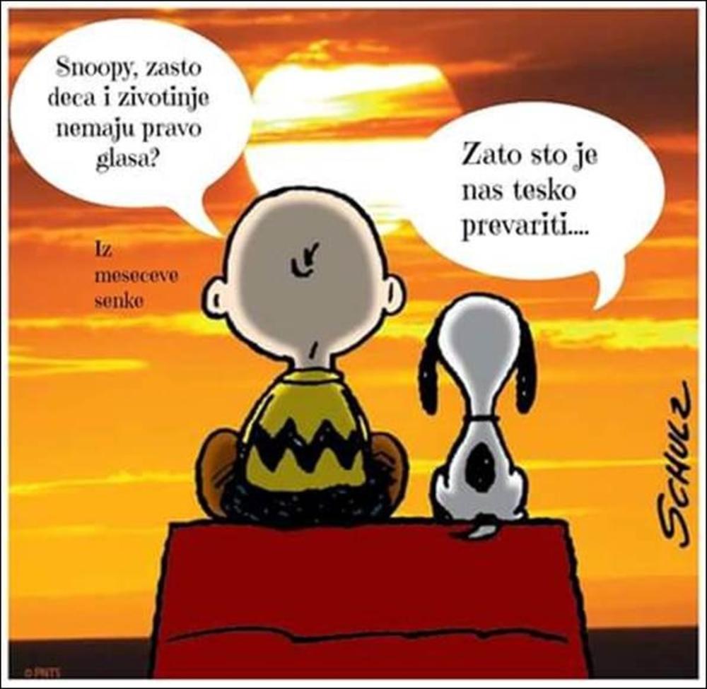 Snupi i Čarli Braun