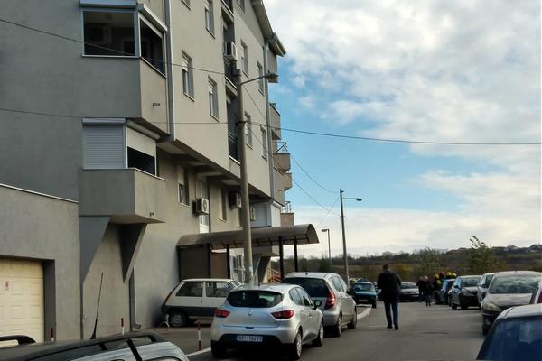 JEZIVA ŽIVOTINJA SPAŽENA U BEOGRADSKOM NASELJU: Da li je moguće da je ovo VUK? (FOTO)