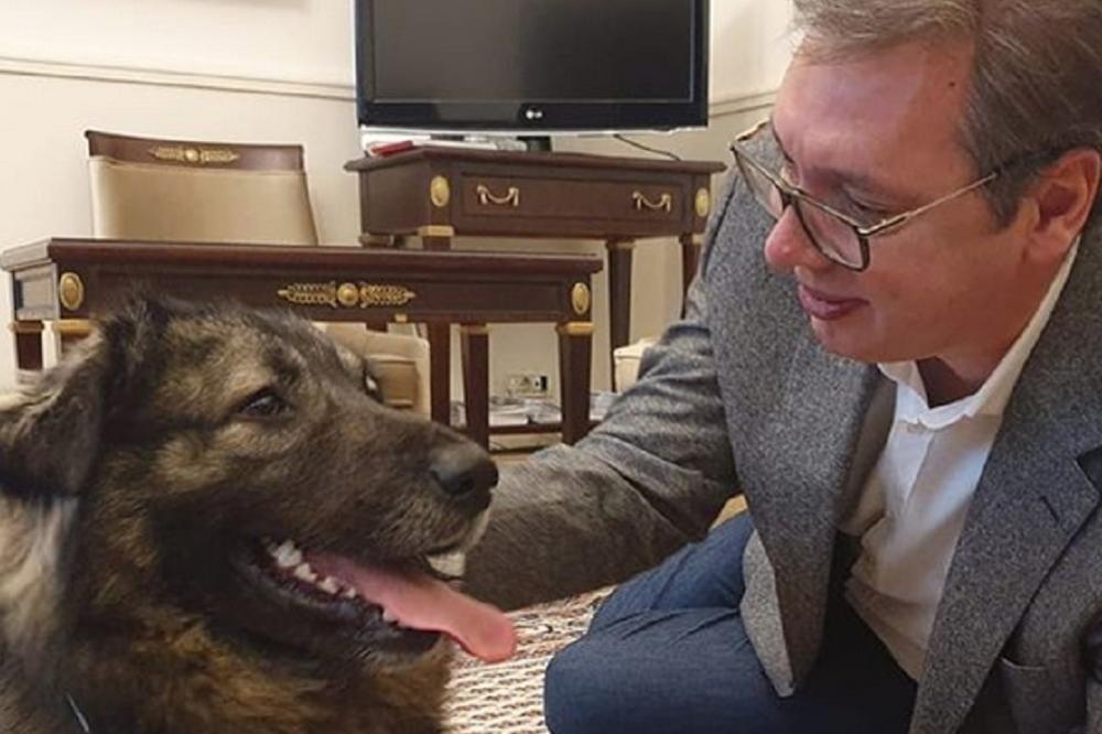 VUČIĆ OBJAVIO PRVE FOTOGRAFIJE NAKON IZLASKA IZ BOLNICE! Pogledajte kako izgleda predsednik i s kim je na slikama