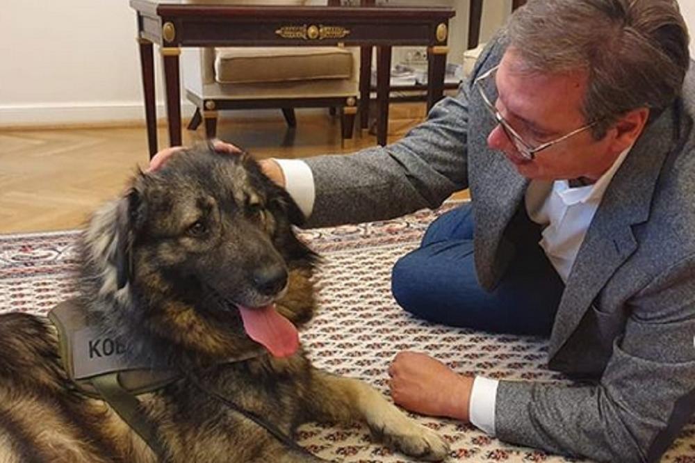 OVAJ DETALJ NA VUČIĆEVOJ SLICI SA PAKOM NIKO NIJE PRIMETIO! Nosi veoma JAKU PORUKU (FOTO)