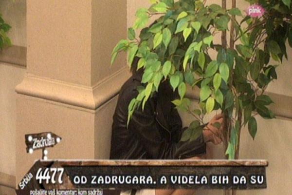 ZAVUKLA SE U ĆOŠAK I JECALA: Taru Simov DOTUKLA Cecina pesma, a sve zbog Mateje i Maje!