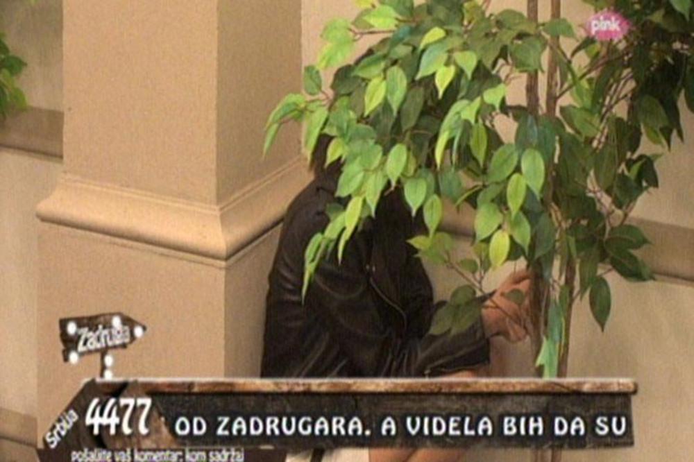 ZAVUKLA SE U ĆOŠAK I JECALA: Taru Simov DOTUKLA Cecina pesma, a sve zbog Mateje i Maje!