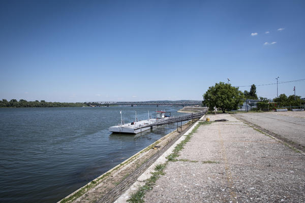 PRONAĐENA LJUDSKA LOBANJA PORED OGRADE "LUKE BEOGRAD": Evo gde je otkriven i ceo skelet, jezivo!