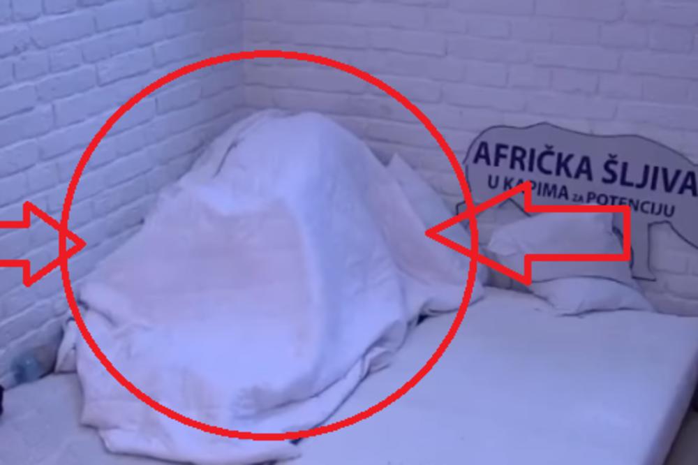 NAJŽEŠĆI SE*S MILJANE I ZOLE: Uzdazi odzvanjali Zadrugom, bili su u izolaciji a takmičari su ih čuli u Beloj kući!