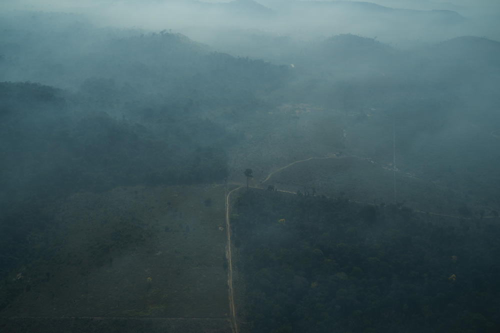 SA OVOG MESTA KREĆE SLEDEĆA VELIKA PANDEMIJA! Odavde vreba NOVI KORONAVIRUS!