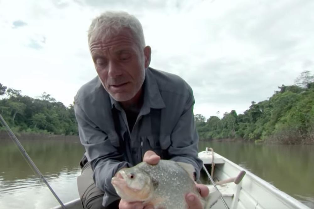 UHVATIO JE PIRANU I STAVIO JOJ ČELIČNU ŽICU U USTA: Ono što je usledilo ledi krv u žilama! (VIDEO)