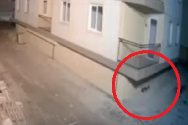 PAS PREDOSETIO ZEMLJOTRES! Spavao je pored zgrade, onda uradio nešto ČUDNO: Neverovatan snimak iz Albanije (VIDEO)