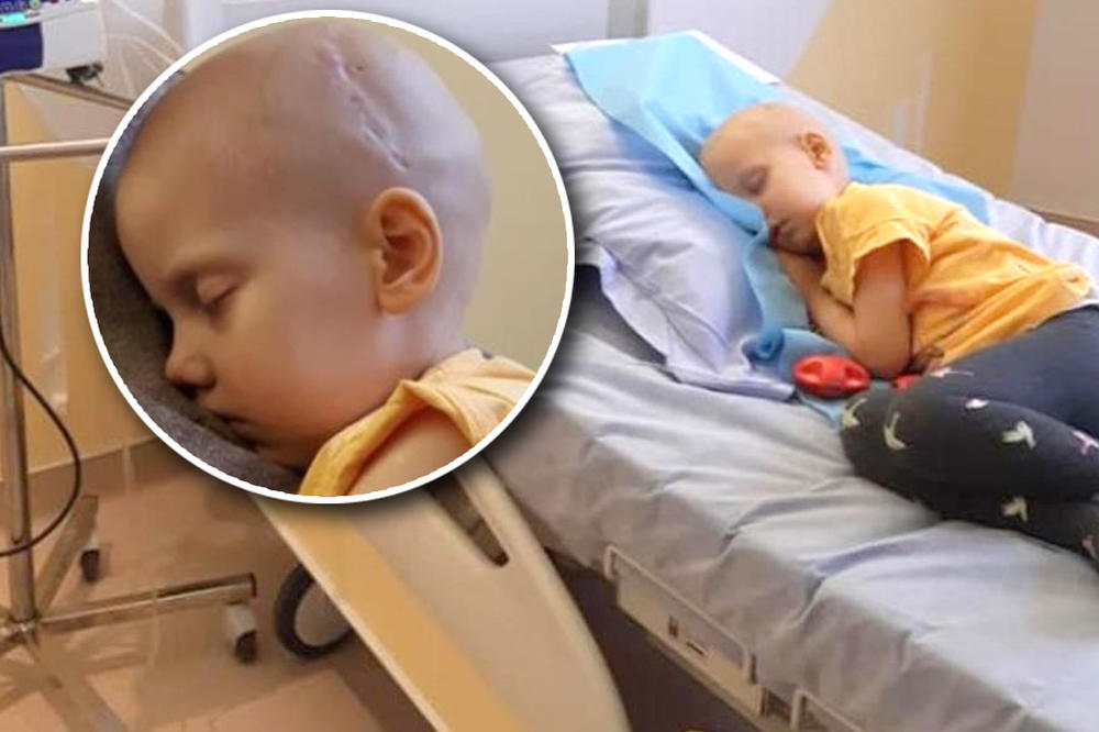 SRBIJO, USTANI! OVO JE PETRA (3) KOJA IMA TUMOR: Krvna slika joj je na nuli, muči se, TREBA JOJ NOVAC ZA LEČENJE!