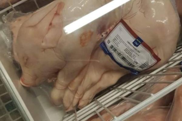 PRASENCE IZ PRODAVNICE RAŽALOSTILO SRBIJU: Životinji polomljena kičma i umotana u foliju, sva MODRA (FOTO)