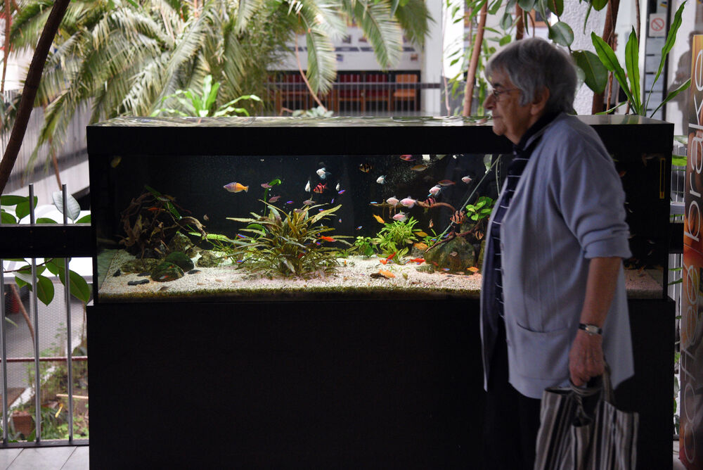 Šeta penzionerka pored akvarijuma