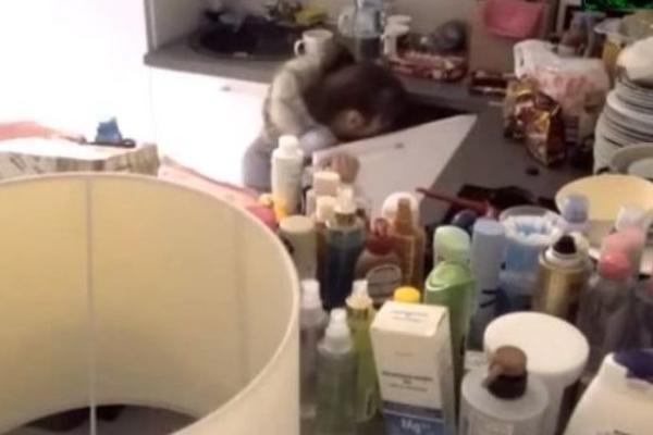 SNIMLJEN HAOS U APARTMANU! Miljana pokušala da pobegne iz Zadruge! (VIDEO)