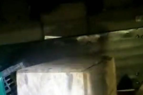 PORODICU JE USRED NOĆI PROBUDIO ALARM IZ AUTOMOBILA: Kada su videli šta je, PRETRNULI SU OD STRAHA (VIDEO)