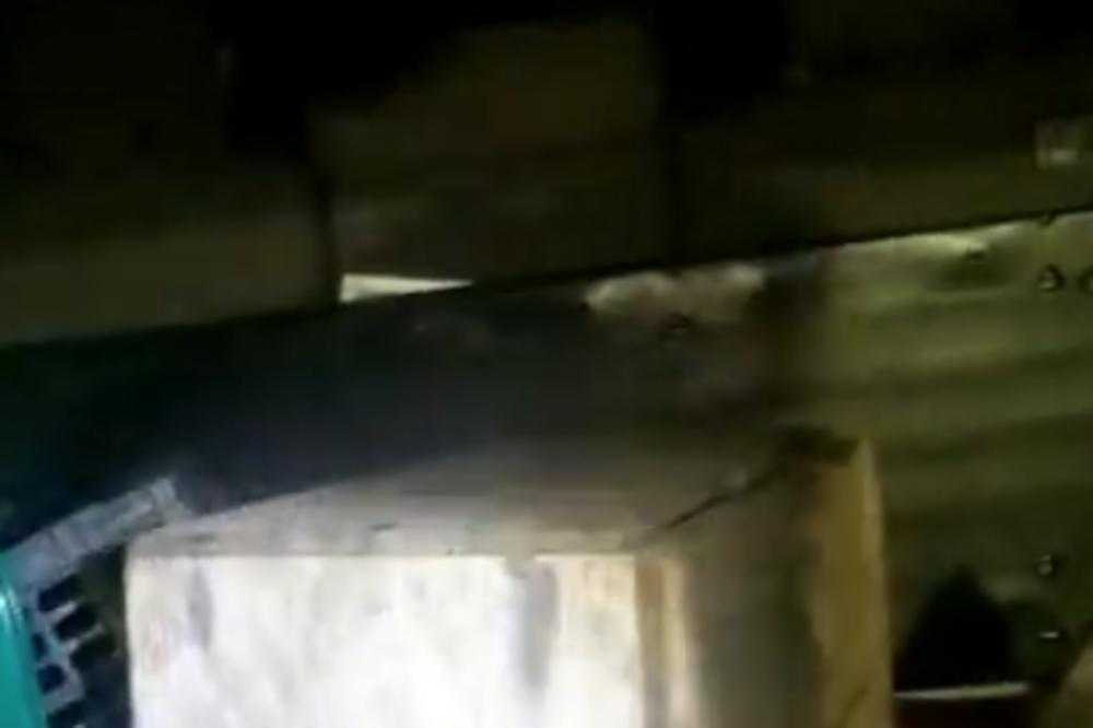 PORODICU JE USRED NOĆI PROBUDIO ALARM IZ AUTOMOBILA: Kada su videli šta je, PRETRNULI SU OD STRAHA (VIDEO)