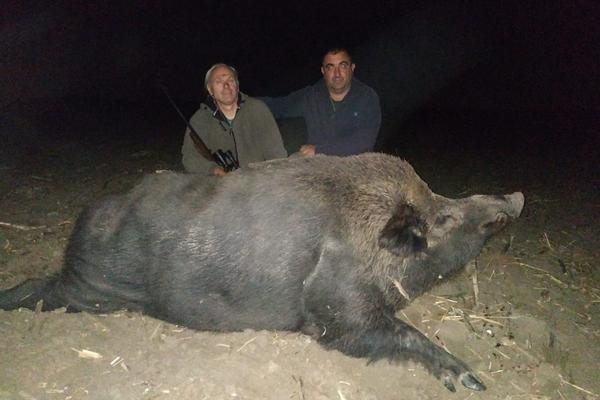 U SRBIJI ULOVLJENA DIVLJA SVINJA OD 340 KG: Lovci se pohvalili ulovom! Ovako nešto nije ZABELEŽENO NIKADA! (FOTO)