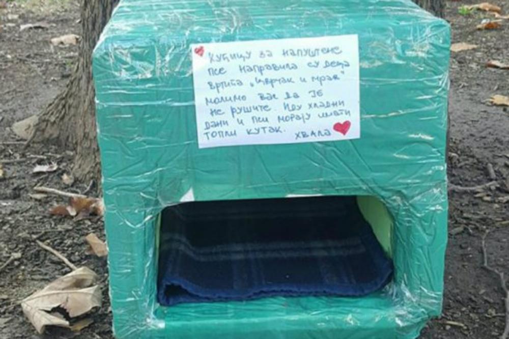 UČIMO OD NAŠE DECE: Deca iz vrtića u Novom Sadu napravila kućicu za NAPUŠTENE PSE, sa dirljivom porukom! (VIDEO)