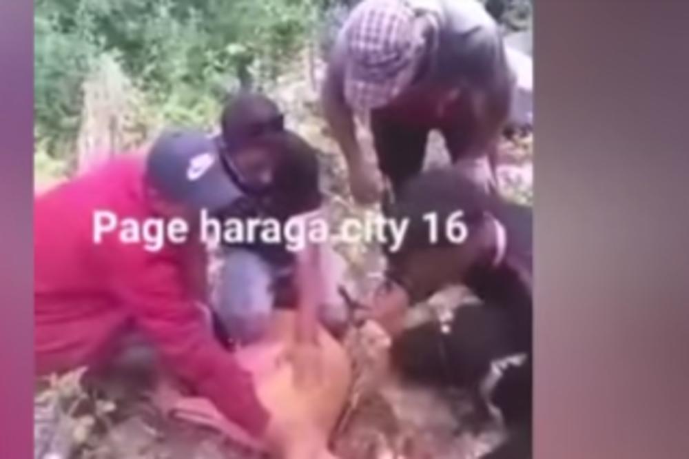 BALKAN ZGROŽEN SNIMKOM OVIH MIGRANATA: U šumi uhvatili LANE, pa ga zaklali (VIDEO)