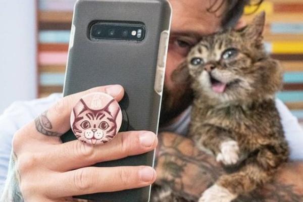 CEO SVET TUGUJE! Uginula životinja koju su svi OBOŽAVALI!