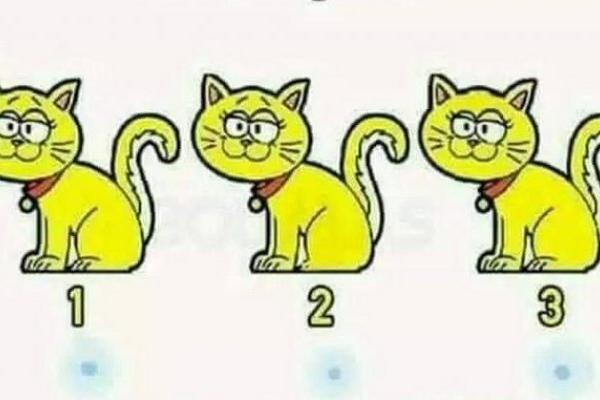 SAMO NAJPAMETNIJI REŠAVAJU OVAJ TEST ZA 5 SEKUNDI: Koja se mačka razlikuje od ostalih?