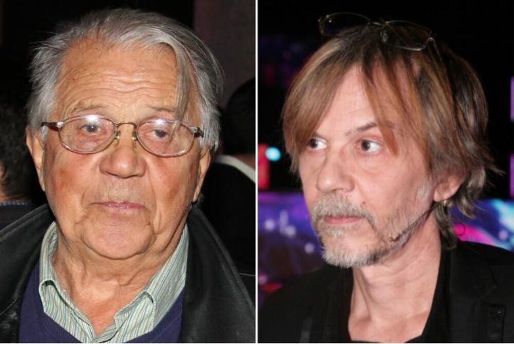 Bora Todorović, Srđan Žika Todorović