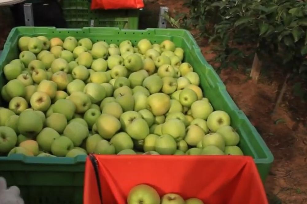 LOŠE VESTI: Voće u Srbiji slabije rodilo nego prošle godine