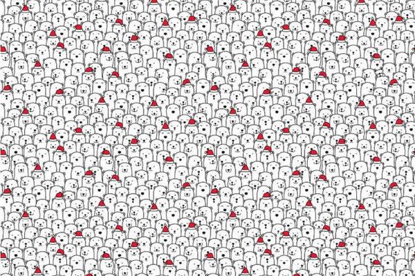 PROVEŽBAJTE MOZAK: Među polarnim medvedima nalazi se jedan ULJEZ - možete li da ga uočite?