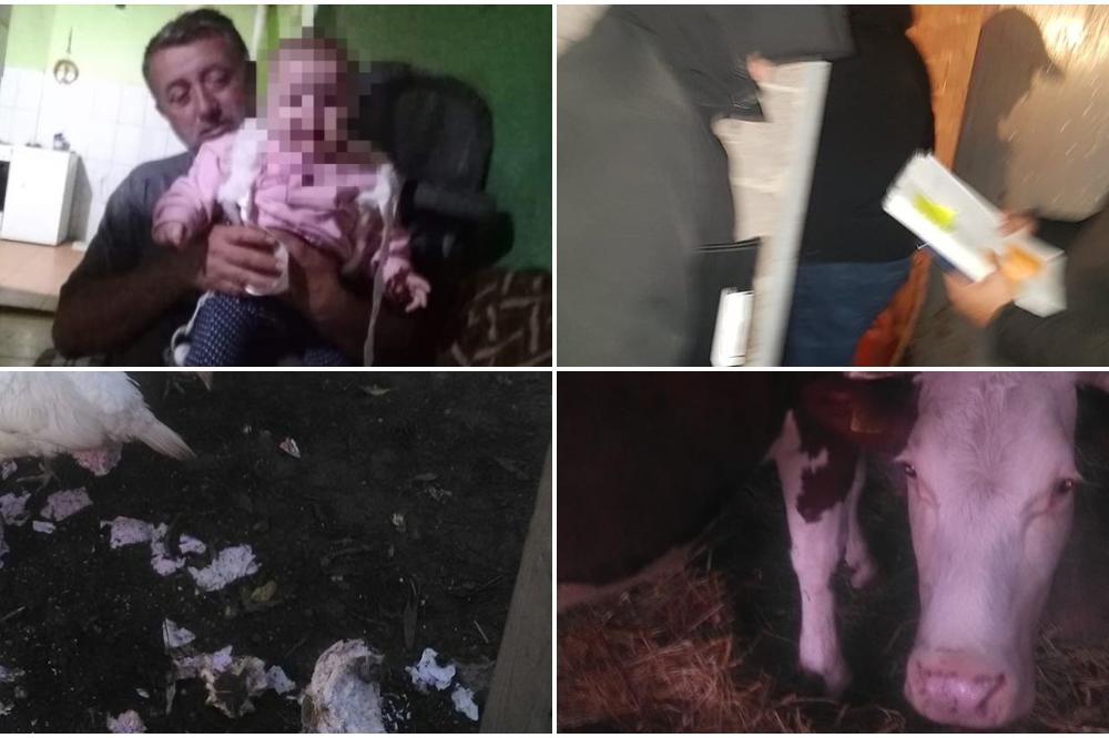 BATINAŠI MALTRETIRALI PORODICU FILIPOVIĆ, PRETILI BIBER SPREJOM DETETU! Popisali su im STOKU koja umire od GLADI!