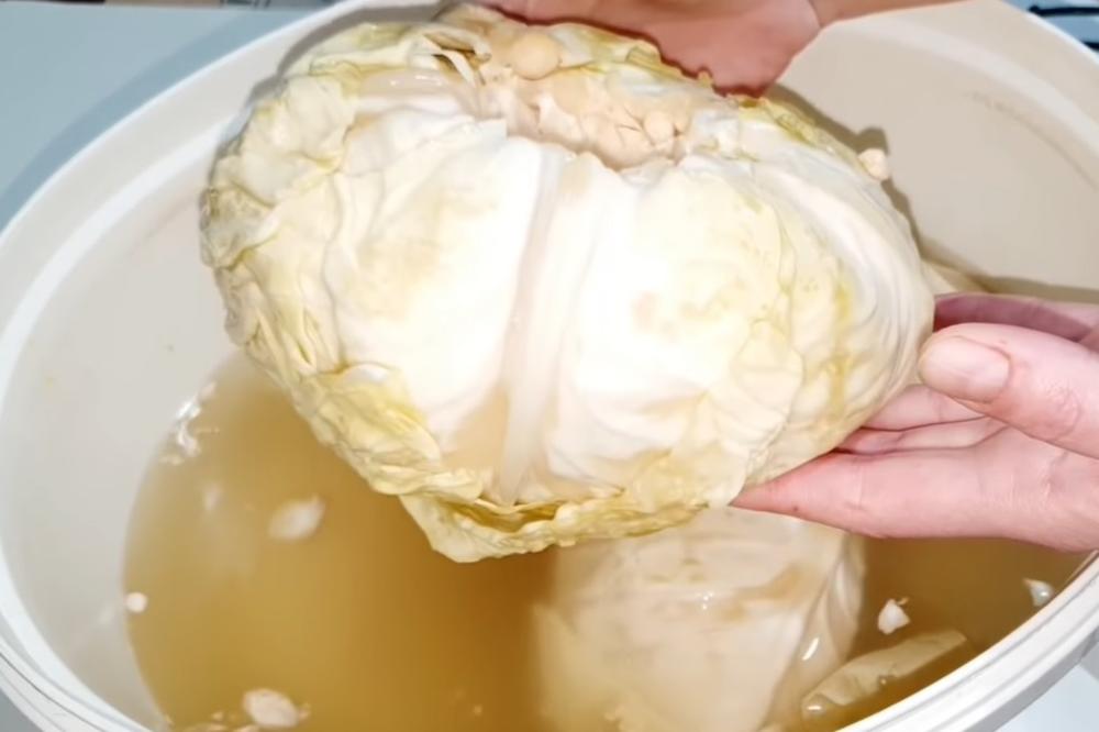 KISELI KUPUS LEČI ČAK 9 BOLESTI: Jedite ga što češće da bi vam se desile OVE STVARI!