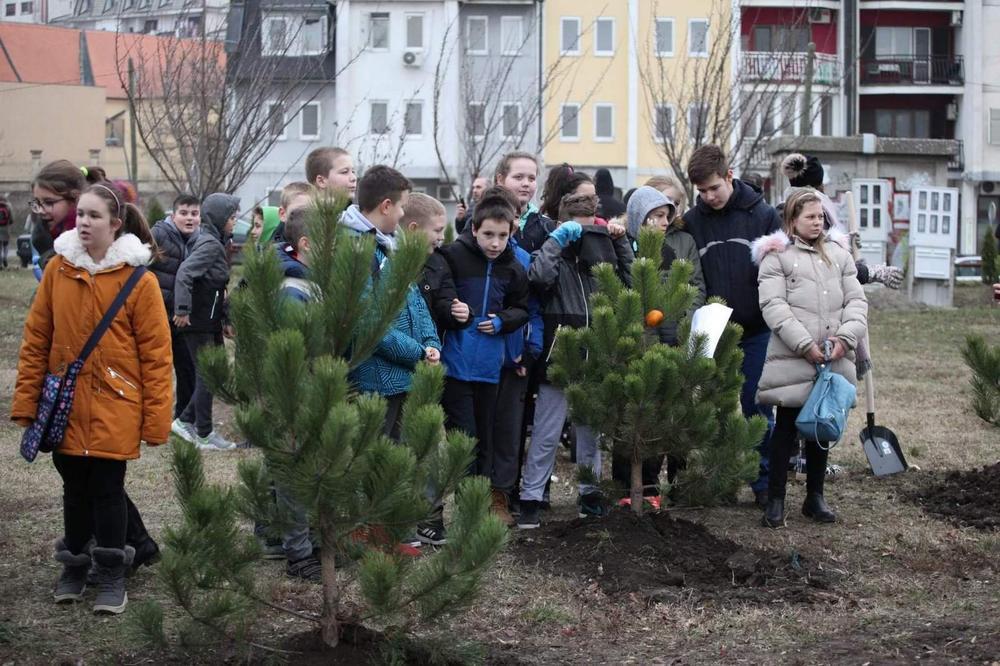 ZASADI DRVO ZA BUDUĆNOST DECE: U Pančevu 3.000 SADNICA na više lokacija u gradu!