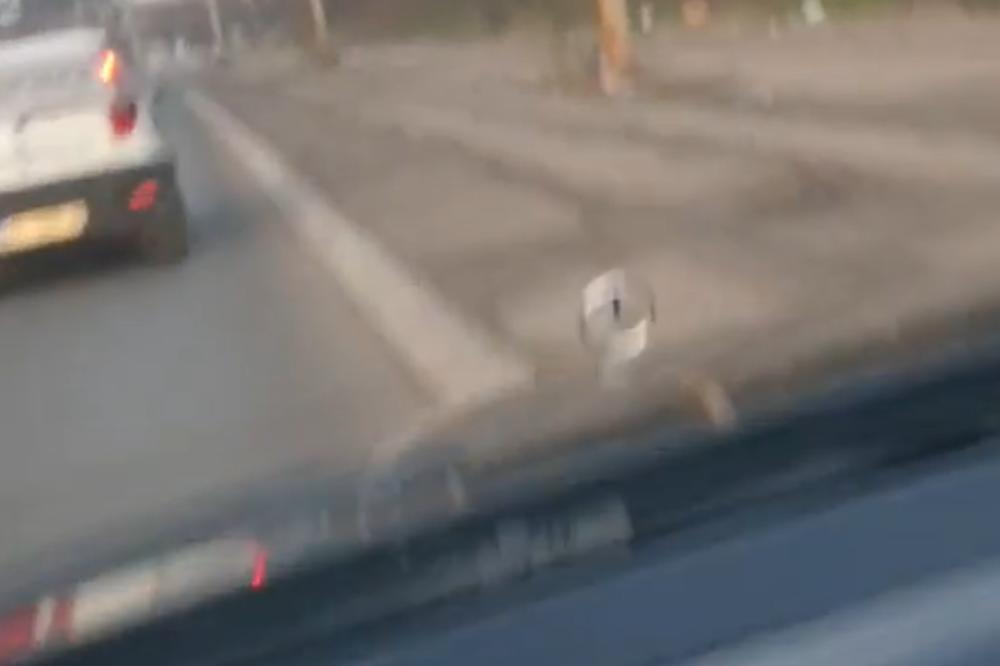 SVINJA U MERCEDESU DIVLJALA PO BEOGRADU I SNIMALA SE! POLICIJO, hoće li neko konačno DA HAPSI OVE IDIOTE? (VIDEO)