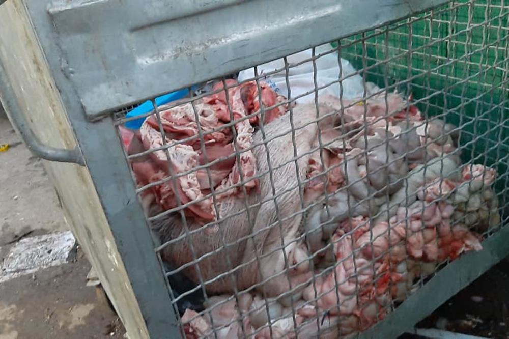 HOROR SCENA ISPRED OSNOVNE ŠKOLE SVETI SAVA: Ovo je mogao da uradi samo KOMPLETAN LUDAK! (FOTO)