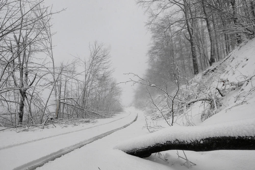 ŠTA SE OVO DEŠAVA? Pao sneg, da li je realno?!