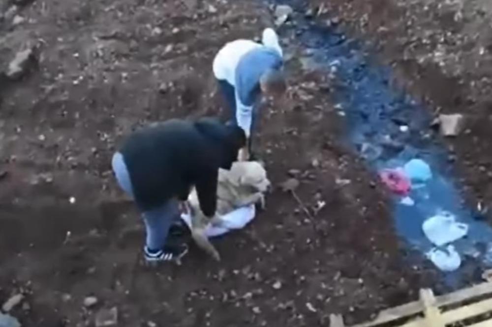 IZNEMOGLI PAS JE SATIMA BIO U RECI! Nije mogao da izađe, a onda su naišli HEROJI ANDRIJA I UROŠ (VIDEO)