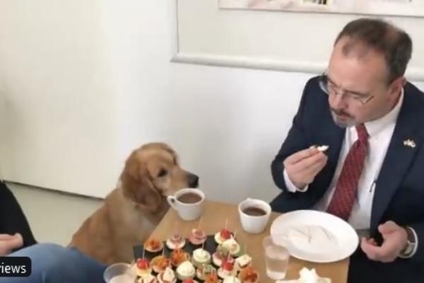 VRANJANCI POZVALI AMERIČKOG AMBASADORA NA VEČERU: Kad vidite šta mu nude prste ćete polizati