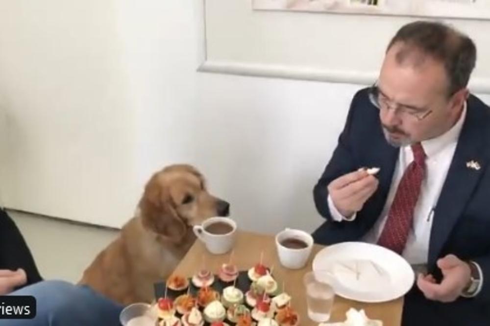 VRANJANCI POZVALI AMERIČKOG AMBASADORA NA VEČERU: Kad vidite šta mu nude prste ćete polizati