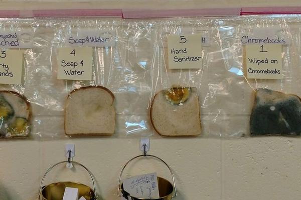 EKSPERIMENT S PARČETOM HLEBA ĆE VAM SE ZGADITI: Pogledajte šta unosimo u sebe kada NE OPEREMO RUKE PRE JELA (FOTO)