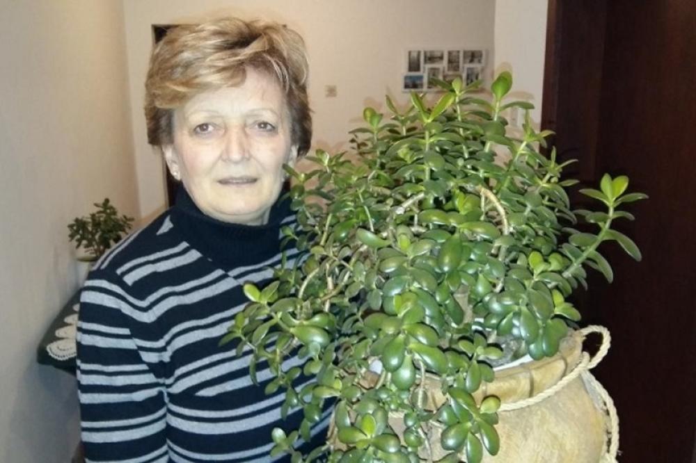 OVA TAJNA JE STARA SKORO 100 GODINA: Baka Anka ima biljku koja donosi blagostanje i novac, POSLUŠAJTE NJENE SAVETE